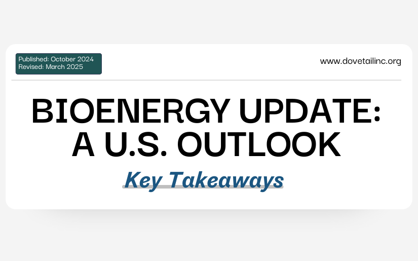 Bioenergy Update: A U.S. Outlook - Key Takeaways Infographic